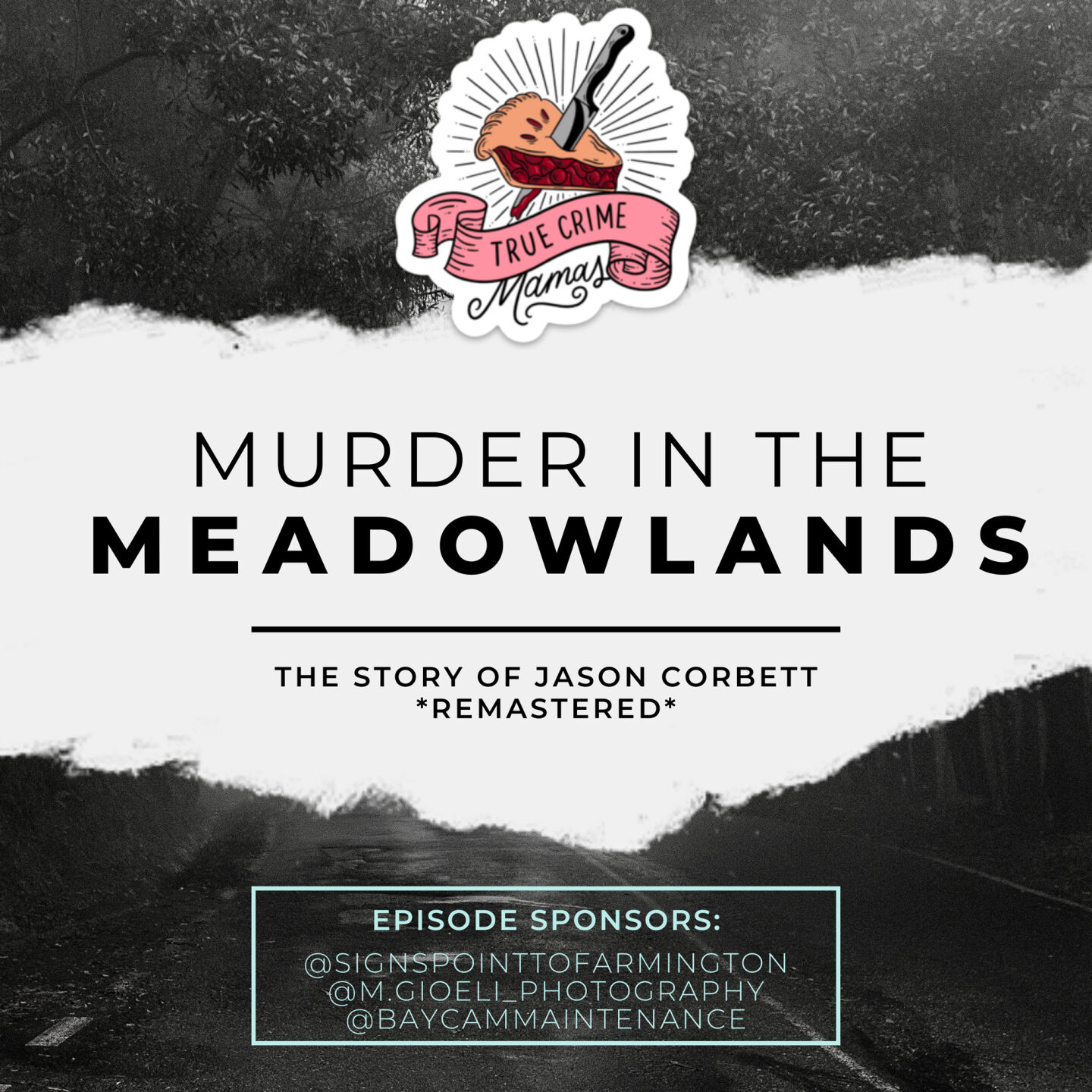COVER-Murder in the Meadowlands.jpg
